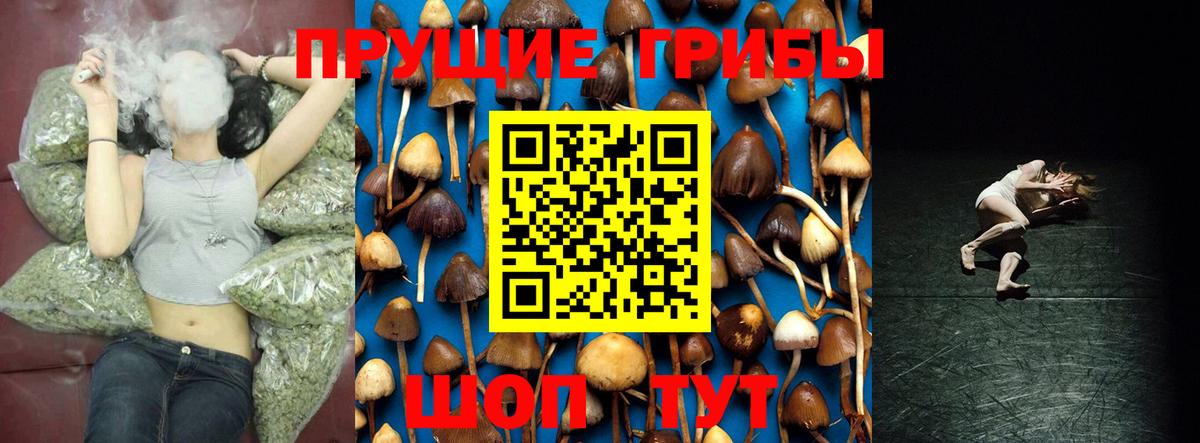 Псилоцибиновые грибы мицелий  Вход с VPN  где купить   Торжок 